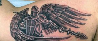 Chevalier ailé sur le biceps