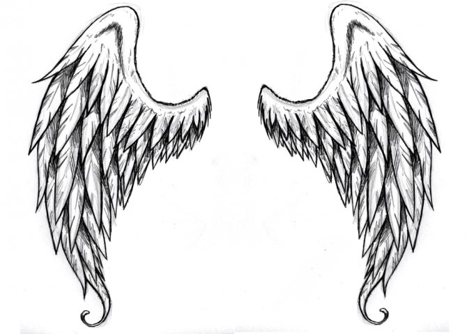 Ailes d'ange - ekiz