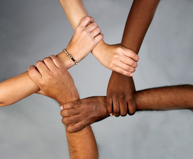 cultures