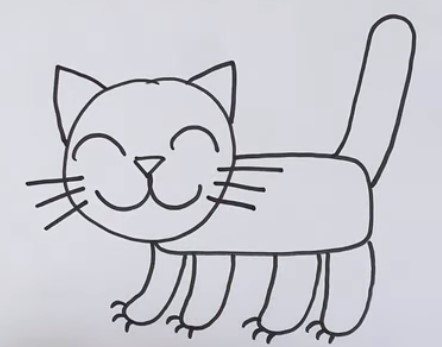 pattes