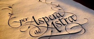 Phrases d'amour en latin