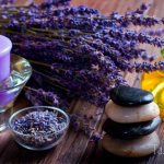 signification de la fleur de lavande