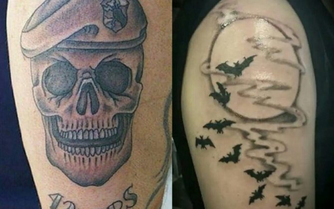 Chauve-souris et crâne avec béret