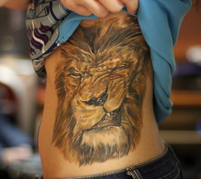 Lion sur le côté