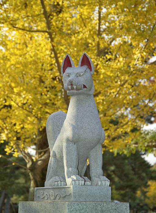 renard d'hokkaido