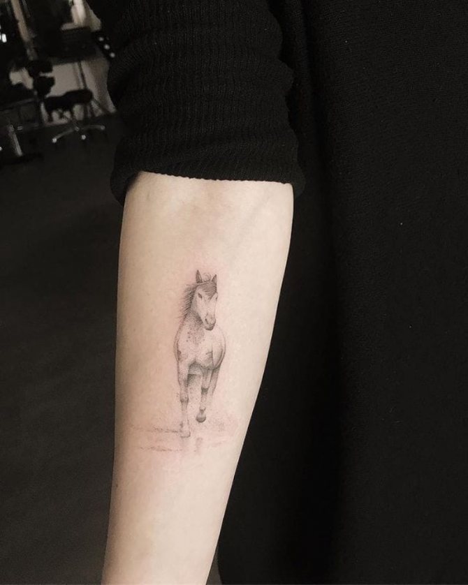 tatouage de cheval