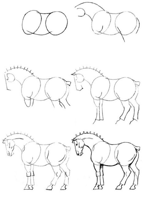 cheval