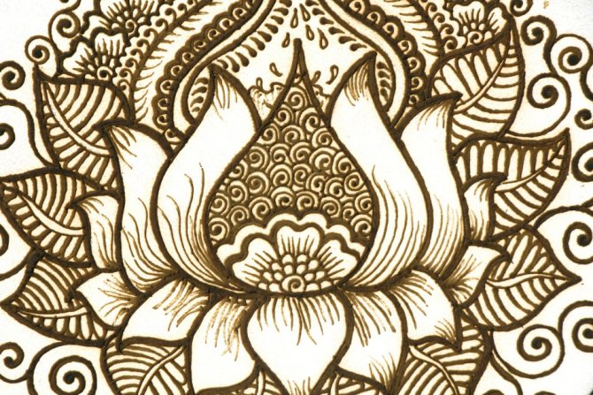 Lotus - porte-bonheur