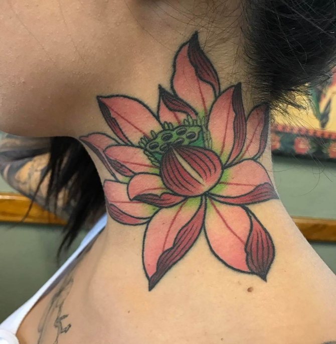 lotus