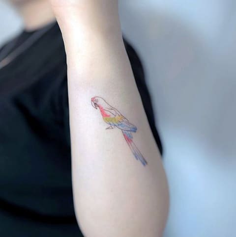 Petit tatouage de perroquet sur des filles