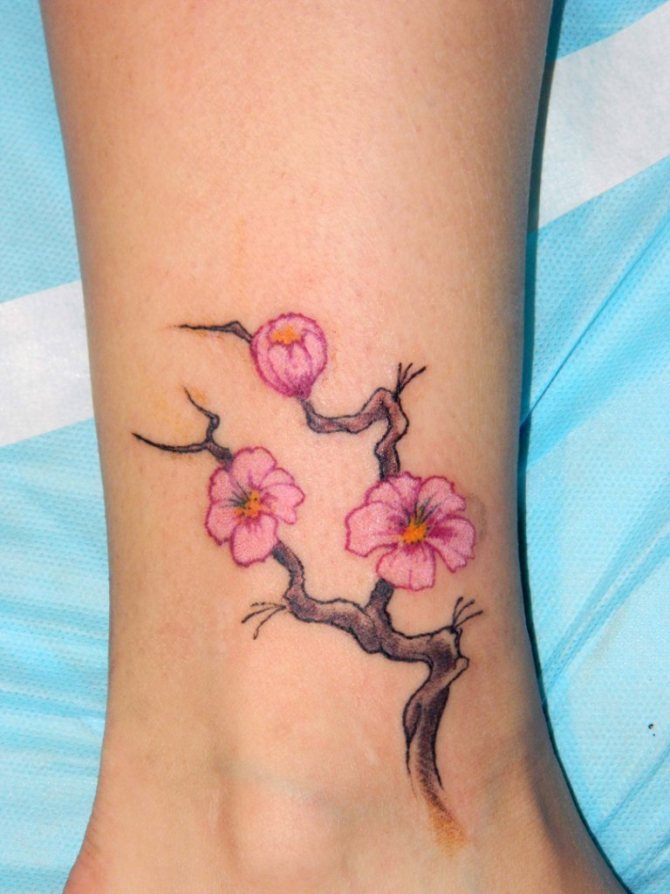 Petite branche de fleur de cerisier comme petit tatouage sur la jambe