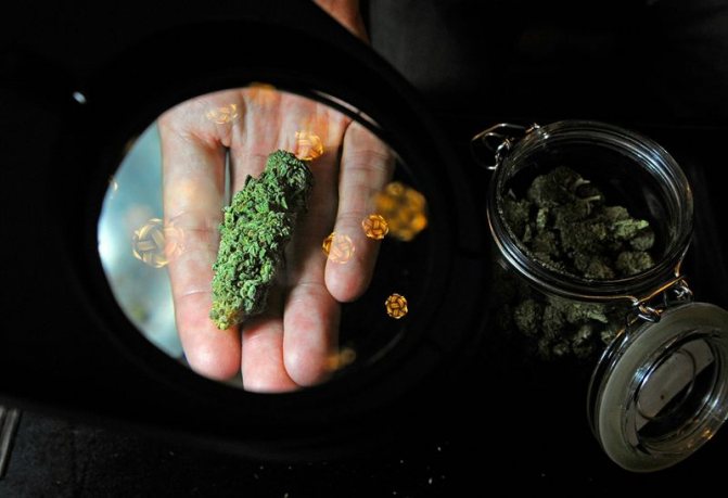 Marijuana