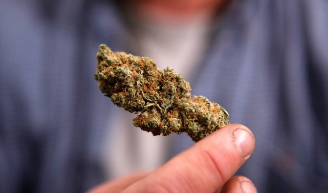 Marijuana