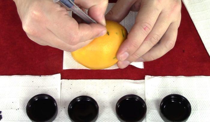 La machine est testée sur du citron