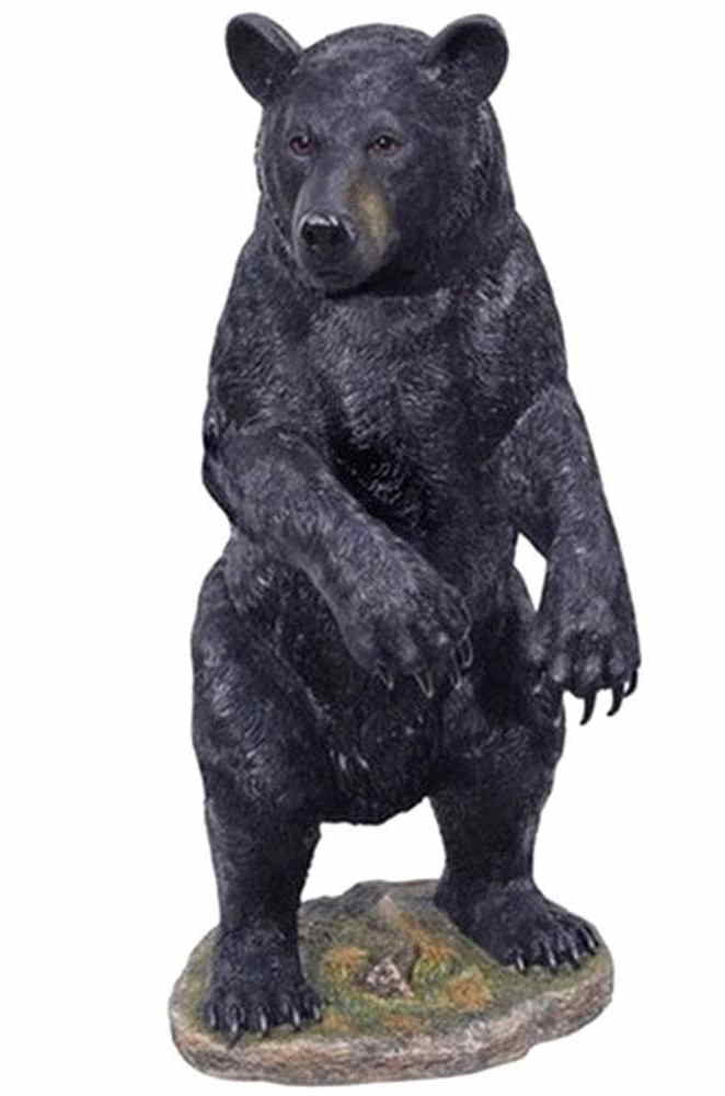 pattes arrière ours
