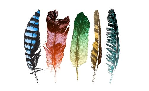Signification mystique des ailes et des plumes des oiseaux