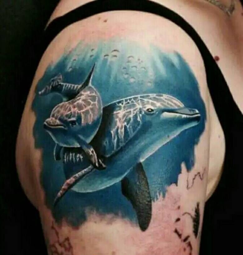 Dauphins dans la mer