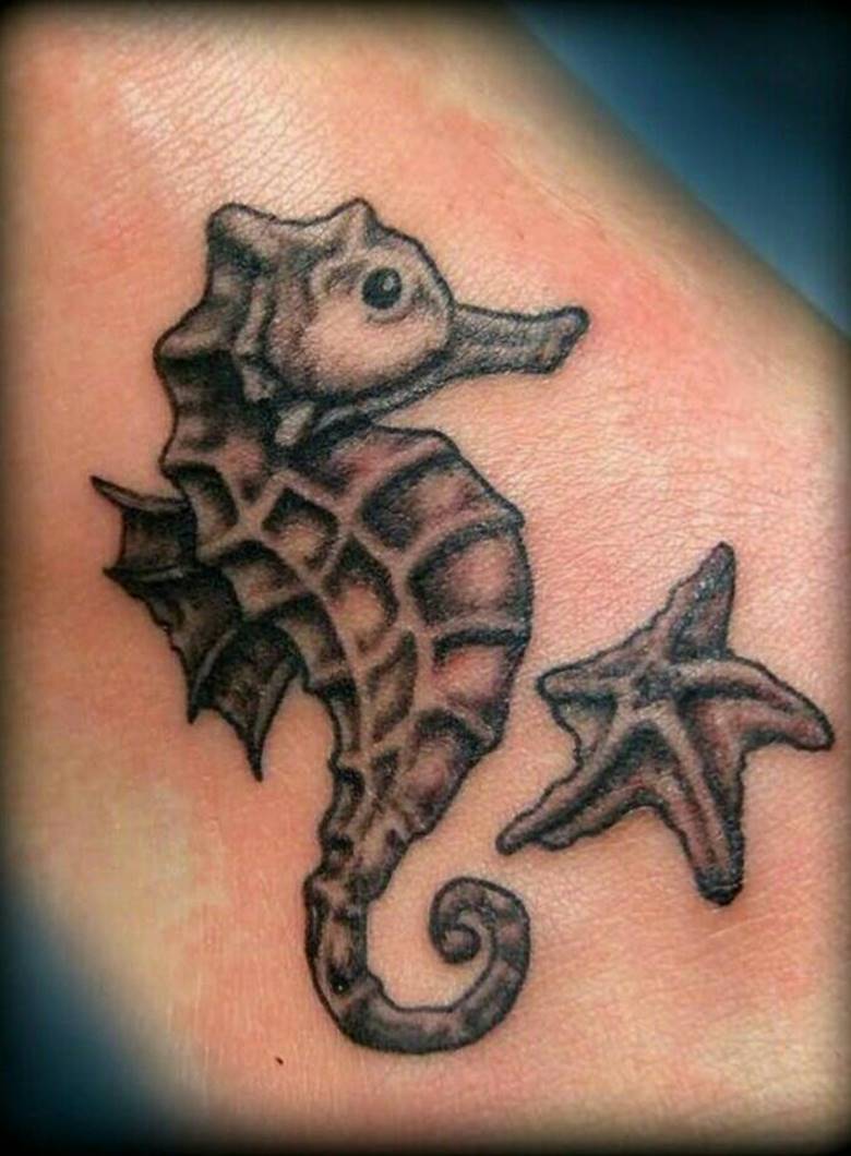 Hippocampe