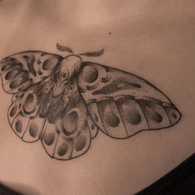 Tatouage de papillon de nuit