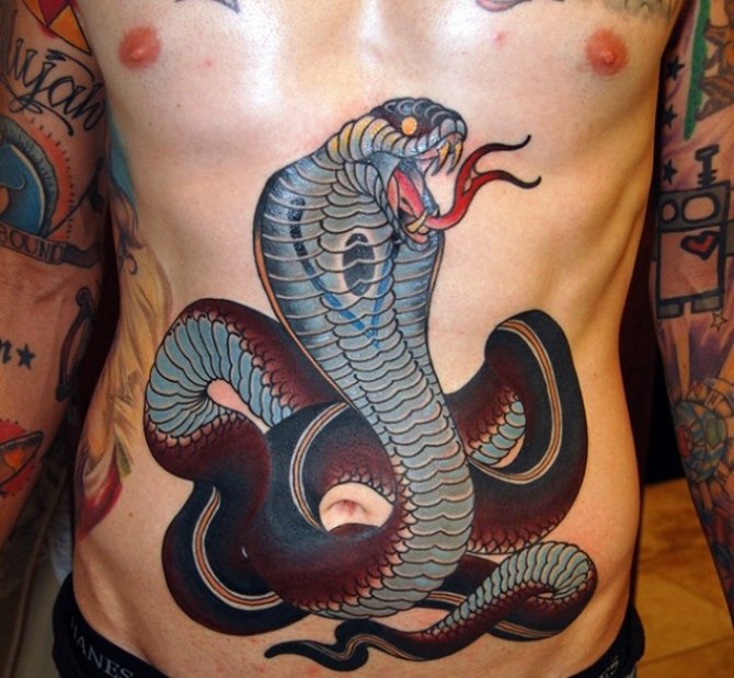 Tatouage d'un cobra mâle sur l'abdomen