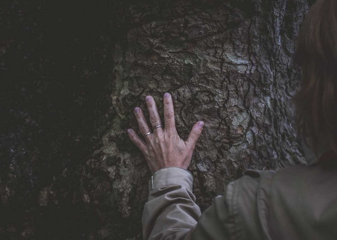Anneaux pour hommes