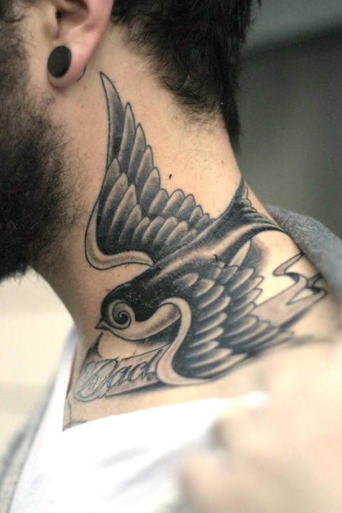Tatouage d'hirondelle pour homme - Tatouage d'hirondelle pour homme - Tatouage d'hirondelle dans le cou pour homme