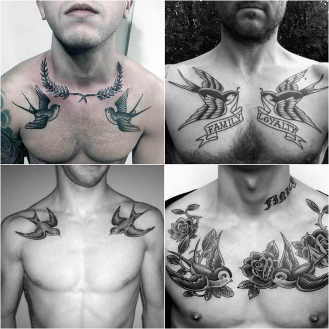 Hirondelle de tatouage pour hommes - Hirondelle de tatouage pour hommes - Hirondelle de tatouage sur la poitrine