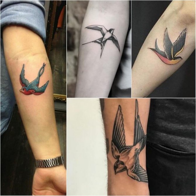 Tatouage d'hirondelle pour hommes - Tatouage d'hirondelle sur l'avant-bras d'un homme