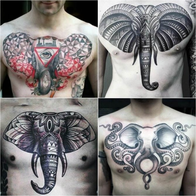 Tatouage d'éléphant masculin - Exemples et croquis - Tatouage d'éléphant pour homme