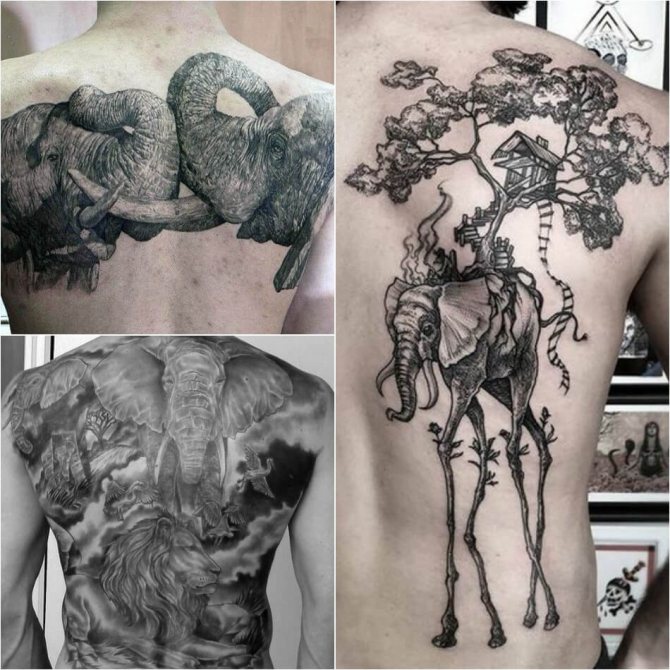 Tatouage d'éléphant masculin - Exemples et croquis - Tatouage d'éléphant pour homme