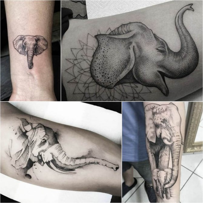 Tatouages d'éléphants masculins - Exemples et croquis - Tatouage d'éléphants pour les hommes