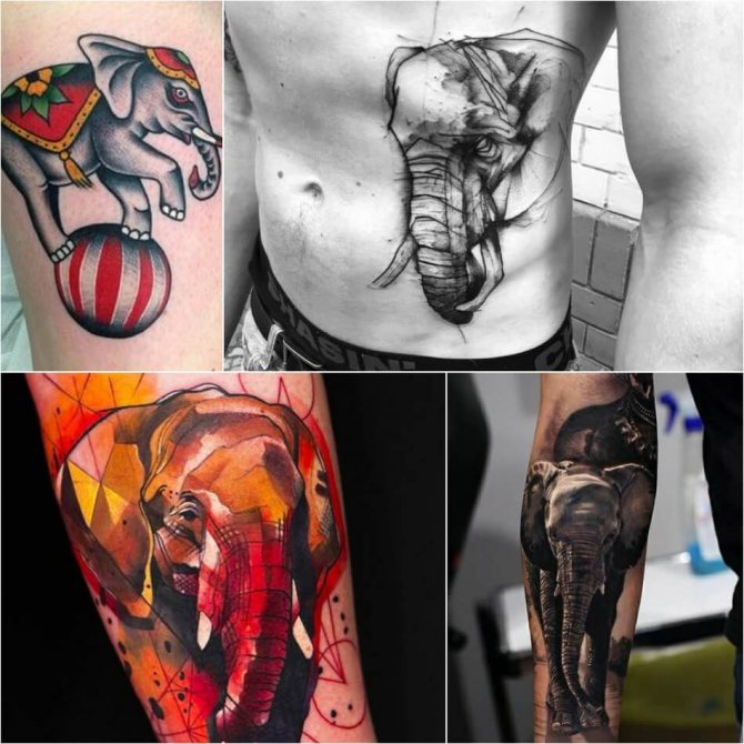Tatouage d'éléphant masculin - Exemples et croquis - Tatouage d'éléphant pour homme