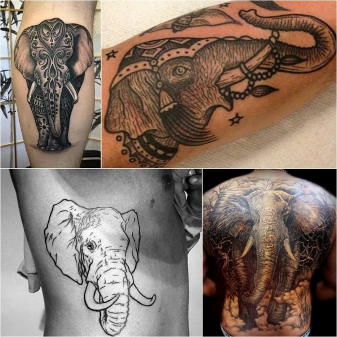 Tatouage d'éléphant masculin - Exemples et croquis - Tatouage d'éléphant pour homme