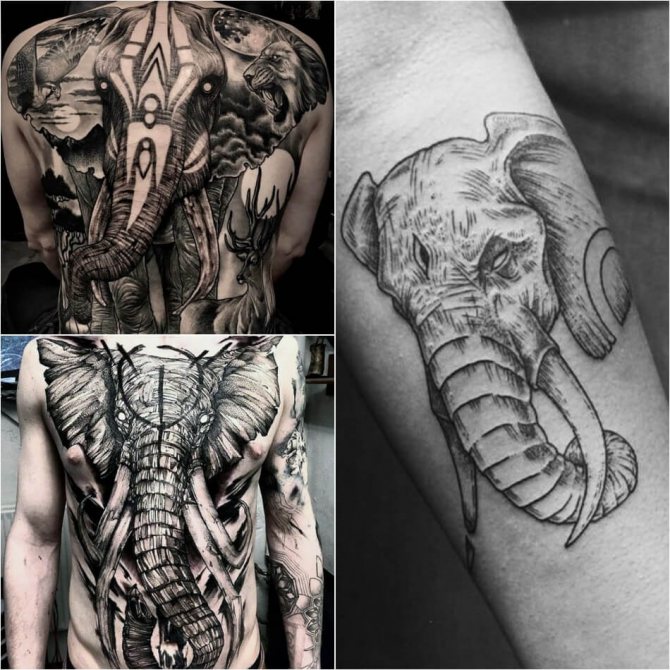 Tatouage d'éléphant masculin - Exemples et croquis - Tatouage d'éléphant pour homme