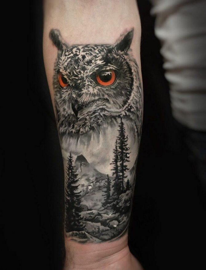 Tatouage d'un hibou sur l'avant-bras