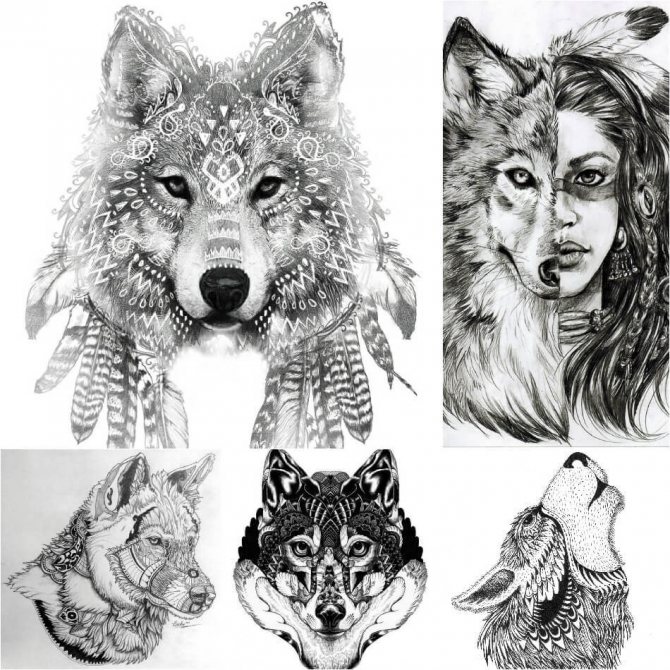 Motifs intéressants de tatouages de loups