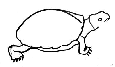 Dessiner une tortue