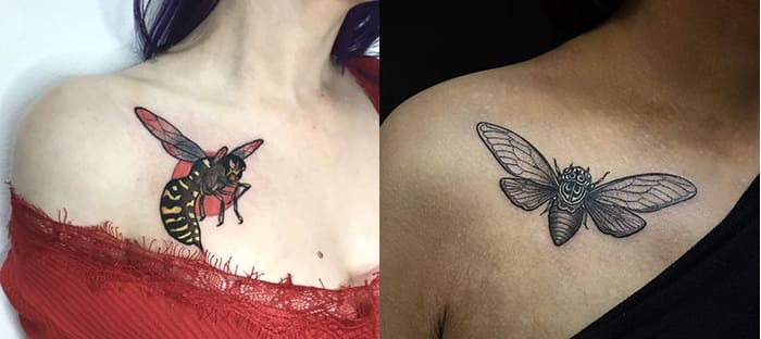 Insectes