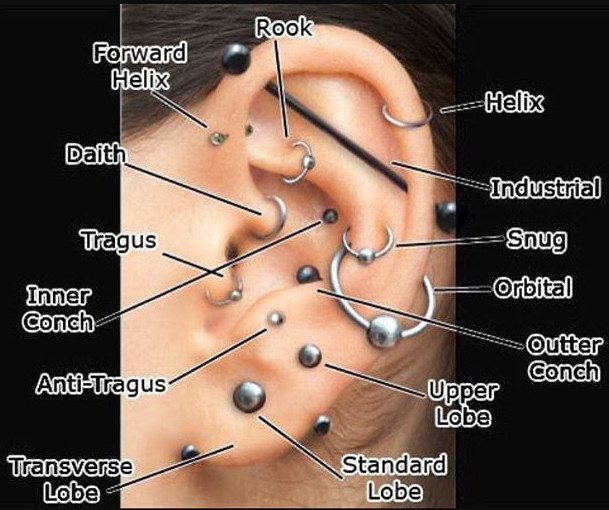 Noms des piercings du cartilage