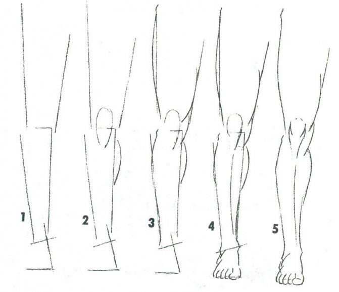 Des jambes de femmes avec un crayon.