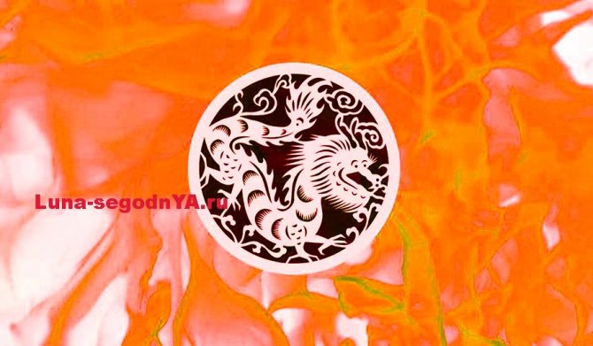 Dragon de feu
