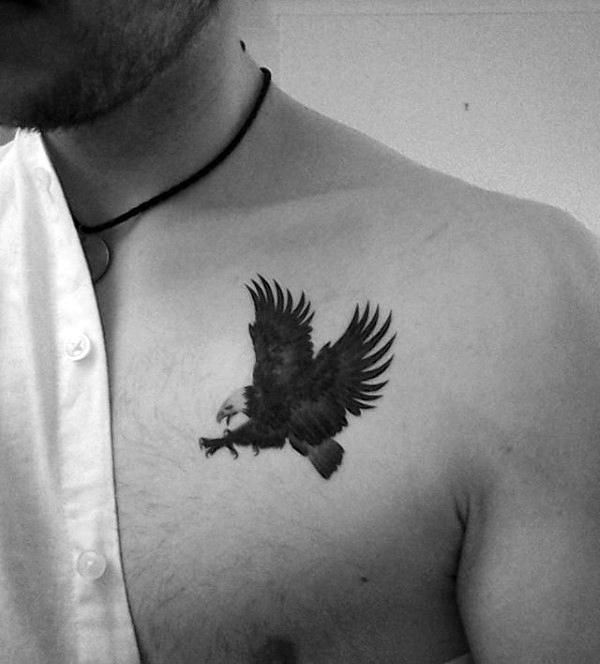 aigle volant