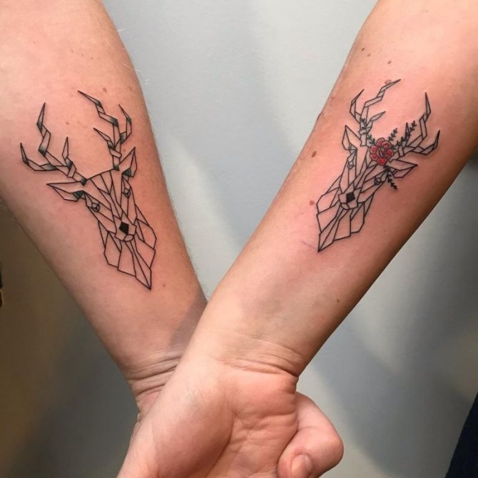géométrie du cerf
