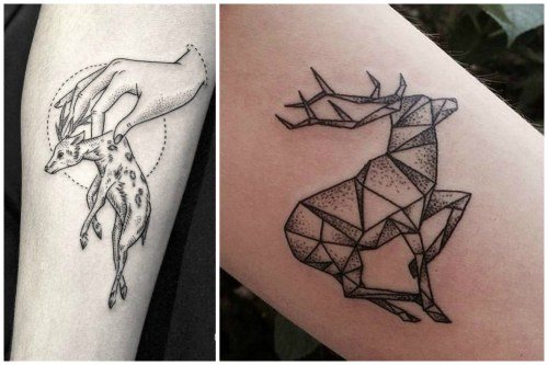 cerf