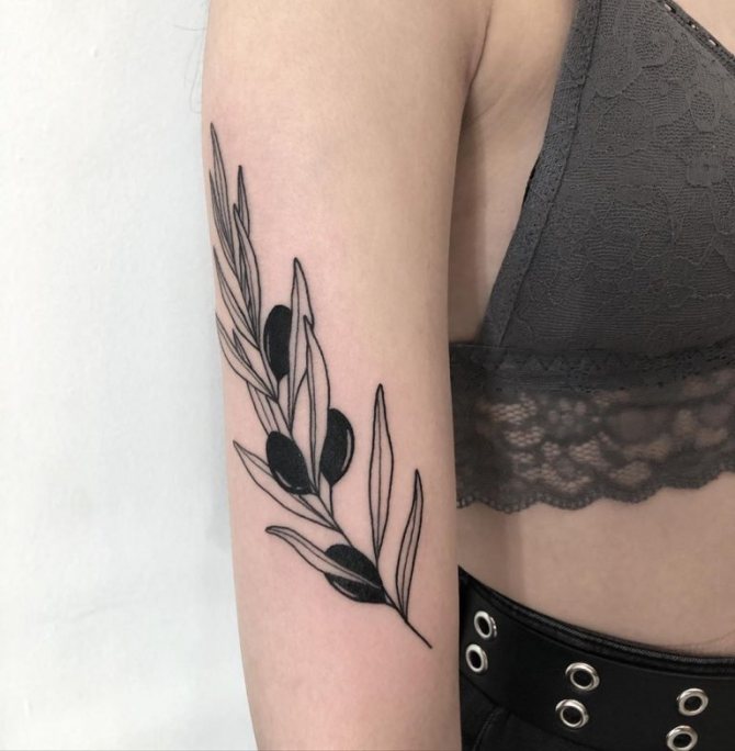 signification du tatouage du rameau d'olivier