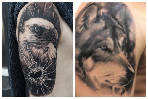 Aigle et loup noir et gris