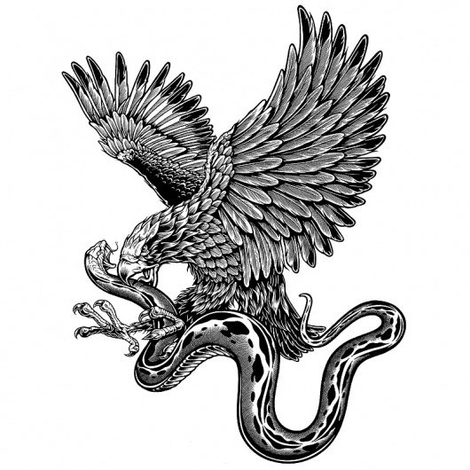 aigle avec un serpent