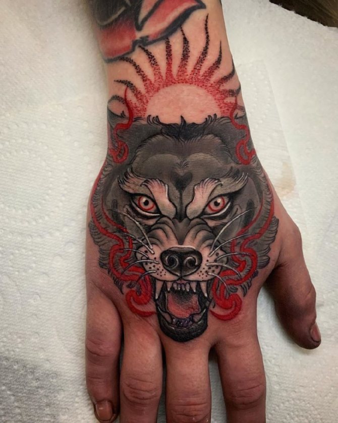 photo de la grimace du loup