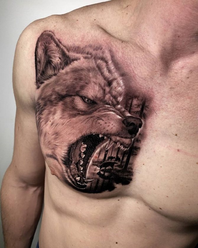 dessin de sourire de loup