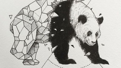 croquis de panda